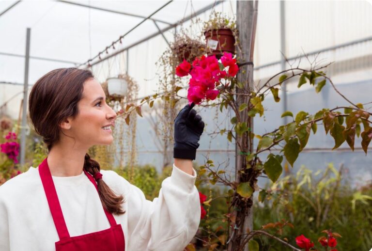 Winter Protection for Roses in Canada