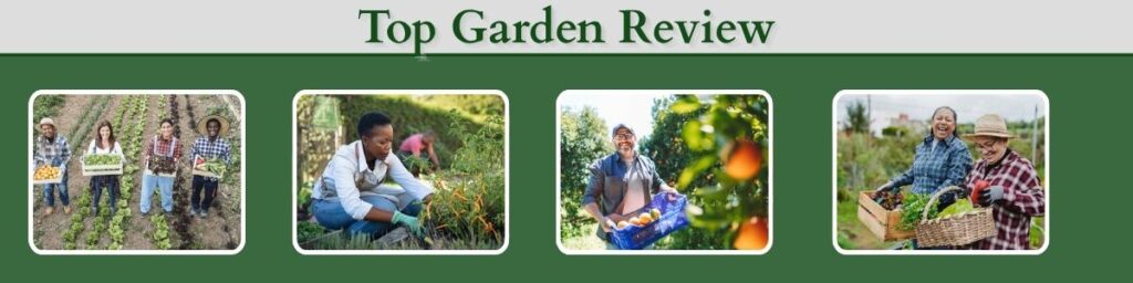 topgardenreview