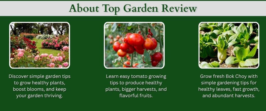 topgardenreview