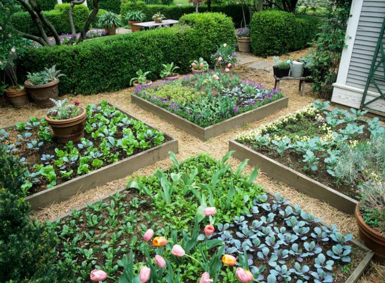 21 Different Types of Garden Beds: An Expert Guide
