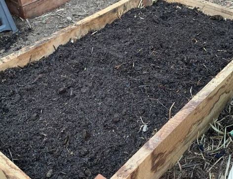 5 Best Soil for a Raised Bed Garden (Top Picks for Healthy Vegetables, Herbs, and Flowers)
