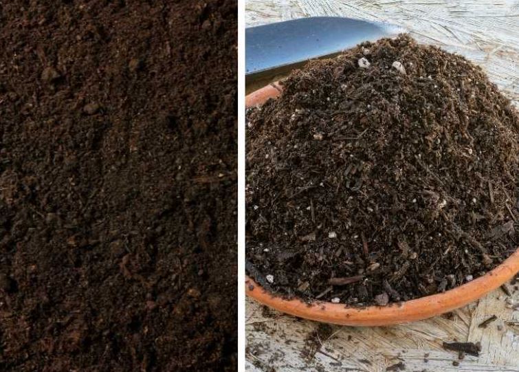 Raised Garden Bed Soil vs Potting Soil: What's the Difference and Which One Should You Use?
