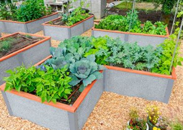 5 Best Raised Garden Beds for Seniors (2026 Buying Guide)