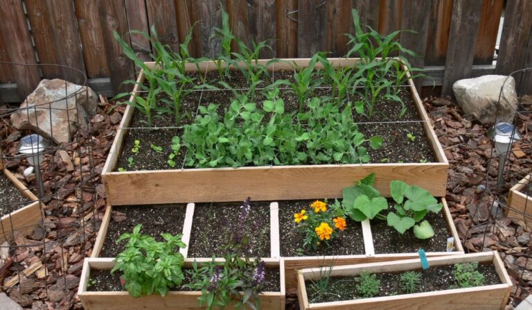 5 Best Raised Beds for Vegetables: Expert Picks & Buying Advice