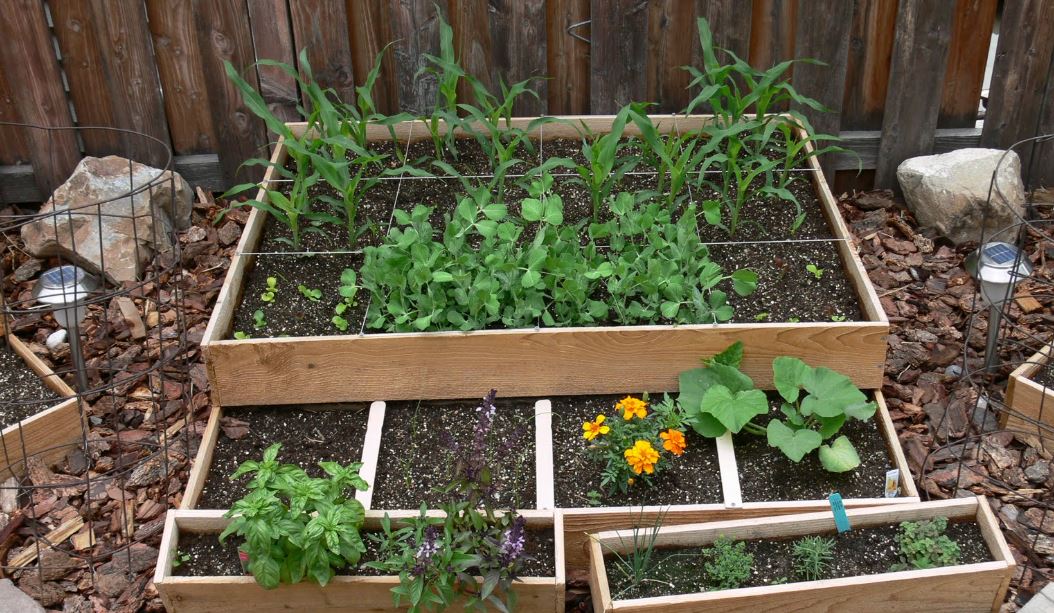 5 Best Raised Beds for Vegetables: Expert Picks & Buying Advice