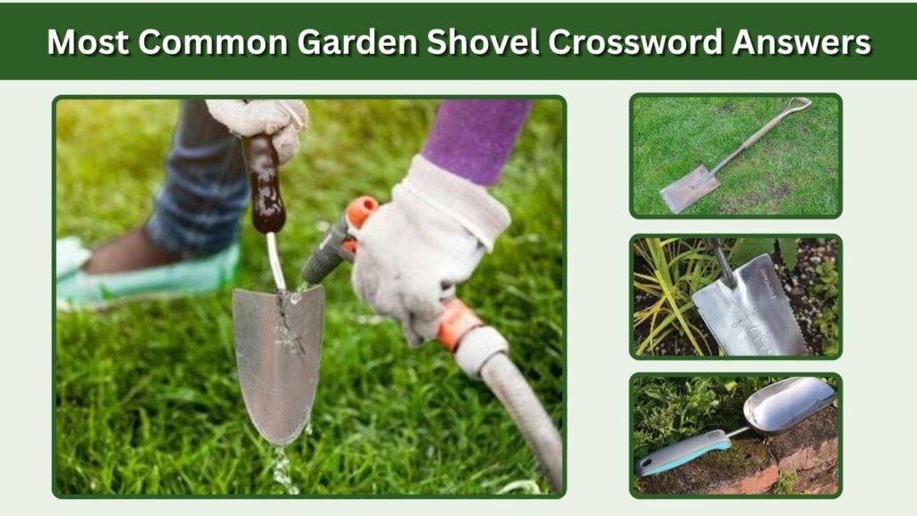 Most Common Garden Shovel Crossword Answers