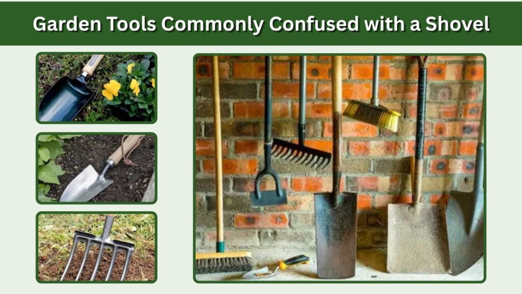 Garden Tools Commonly Confused with a Shovel