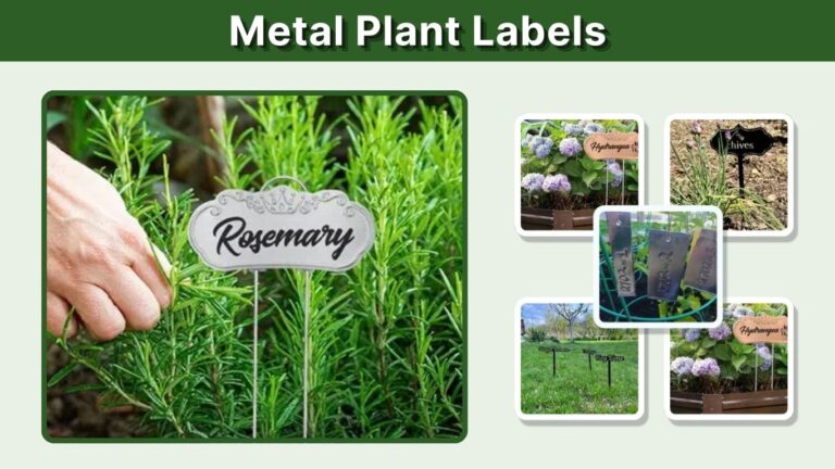 Metal Plant Labels: The Complete Guide to Durable Garden Plant Markers