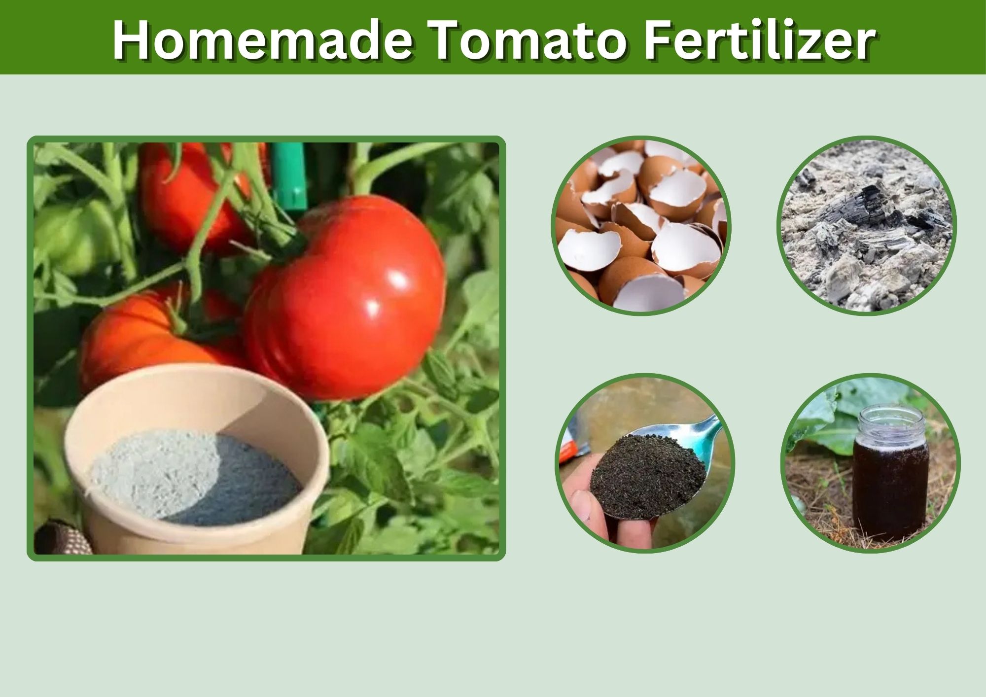 Homemade Tomato Fertilizer: The Complete Guide to Natural, Cost-Effective Plant Nutrition