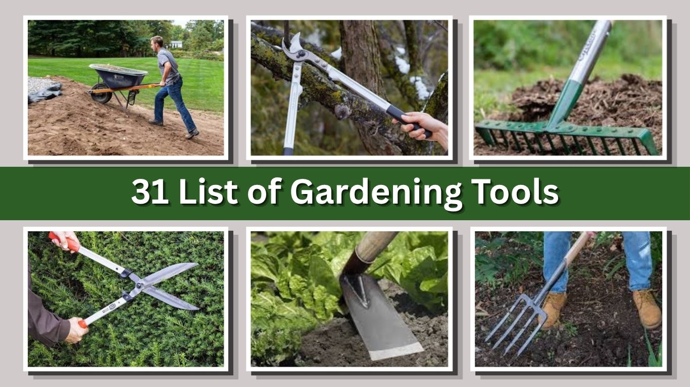 31 List of Gardening Tools: Names, Uses, and Buying Guide