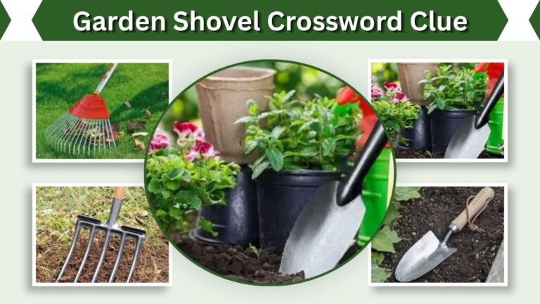 Garden Shovel Crossword Clue: Spade, Trowel, or Shovel?