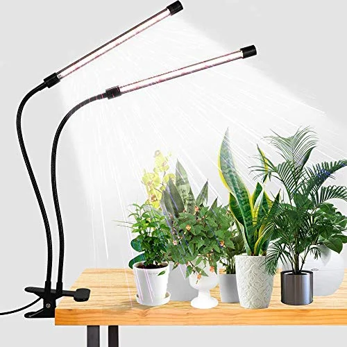 best grow light for tomatoes