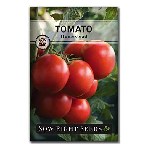 best heat tolerant tomatoes