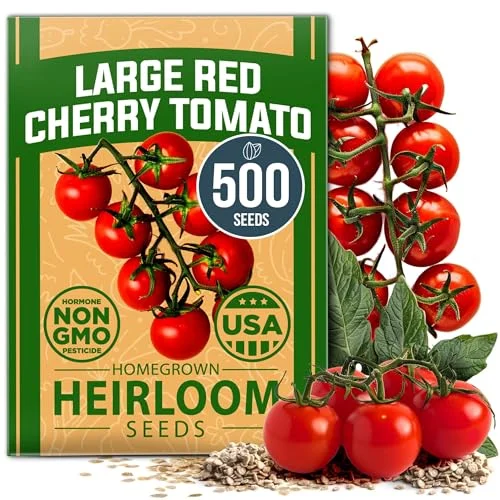 best heirloom cherry tomatoes
