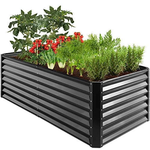 best raised bed tomatoes