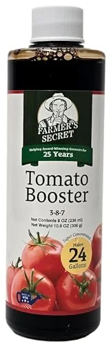 best sandwich tomato to grow