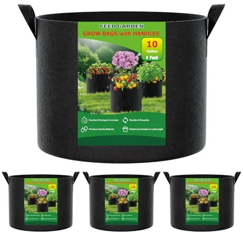 best size pot for tomatoes