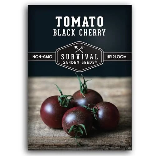 best tasting cherry tomatoes