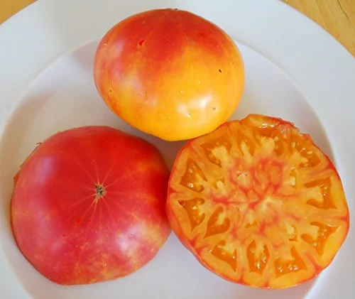 best tasting heirloom tomatoes