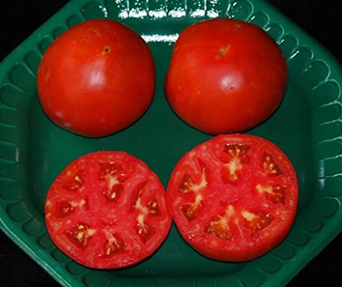 best tasting hybrid tomatoes
