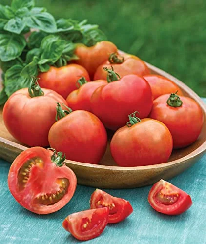 best tasting tomatoes for slicing