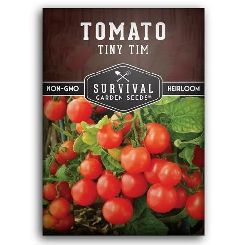 best time to plant tomatoes in texas