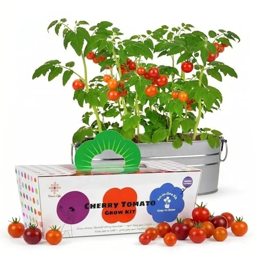 best tomatoes to grow in ohio
