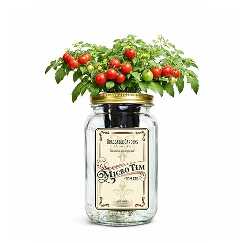 best tomatoes to grow in utah