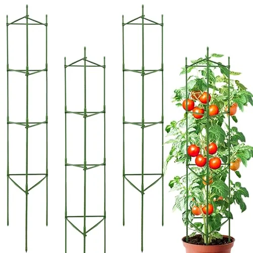 best trellis for indeterminate tomatoes