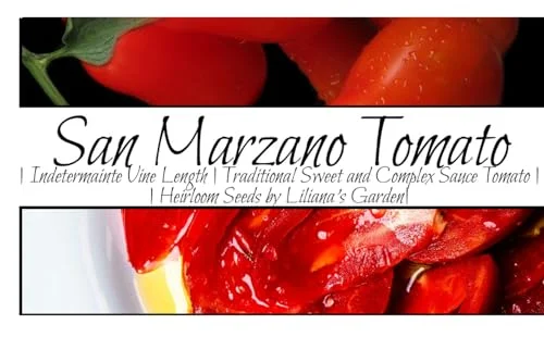 the best tomatoes in the world