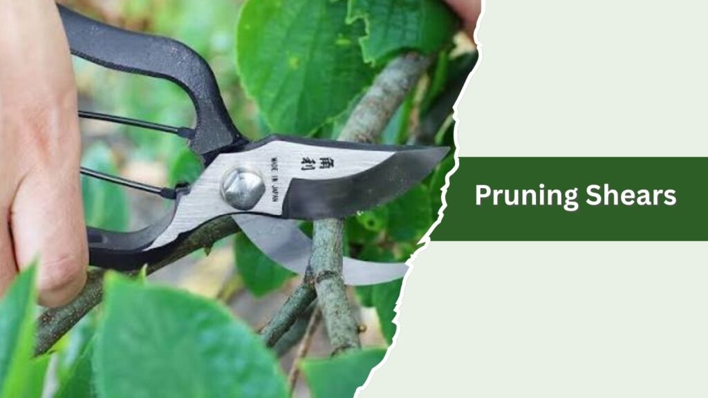 Pruning Shears