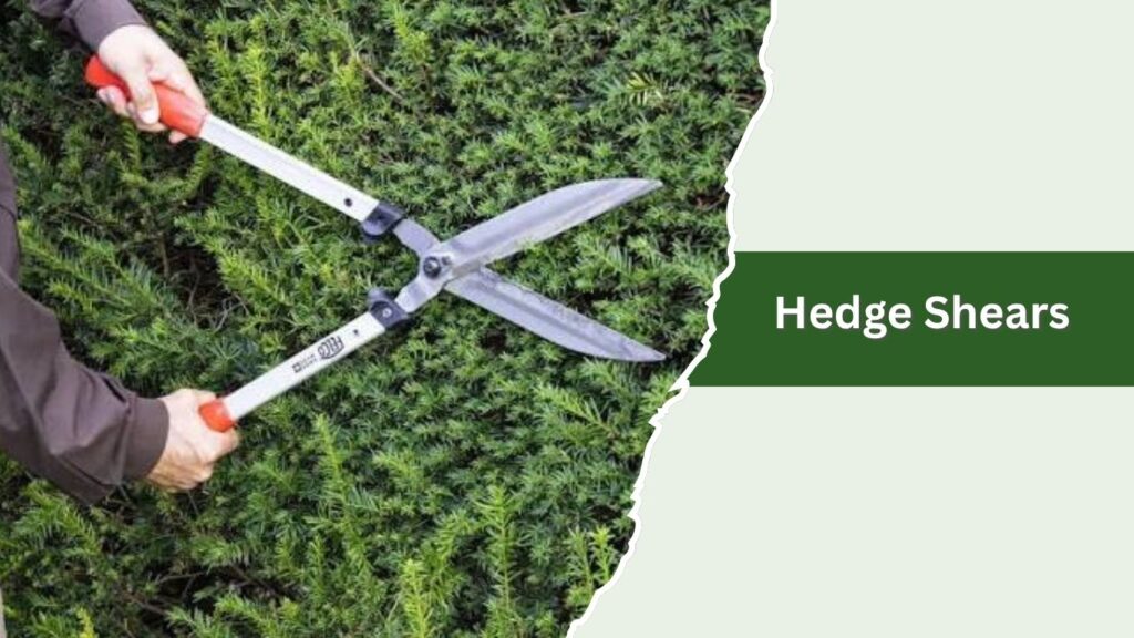 Hedge Shears