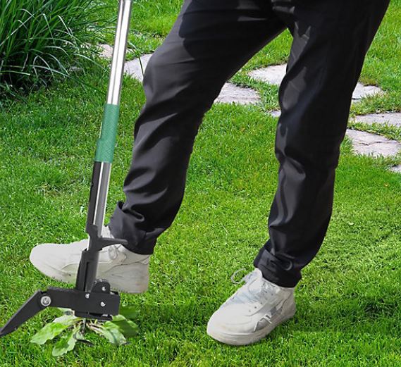 Top 10 Best Standing Weed Puller Tool Reviews: Save Your Back & Knees
