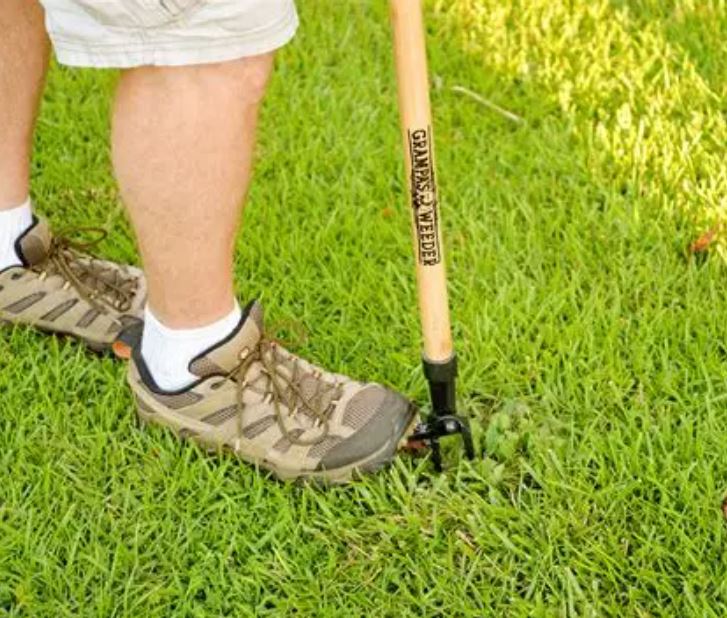 10 Best Weeding Tools Without Bending for a Weed-Free, Pain-Free Lawn