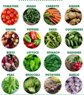 The 30 Best Vegetables to Grow in Buckets