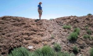The Risks: When is Barehanded Soil Contact Dangerous?