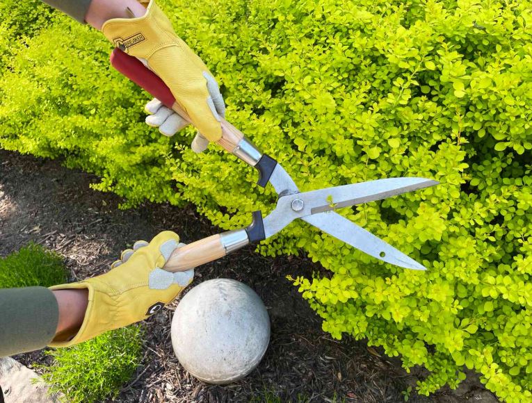 Are Gardening Gloves Worth It?