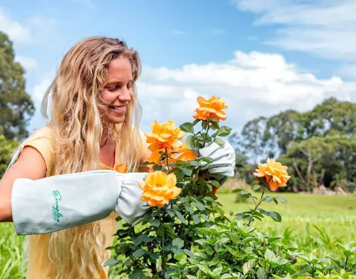 Is It Better to Garden With or Without Gloves?