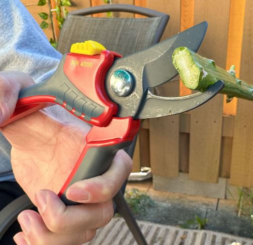 7 Best Pruning Shears of 2026: Our Editors Recommend