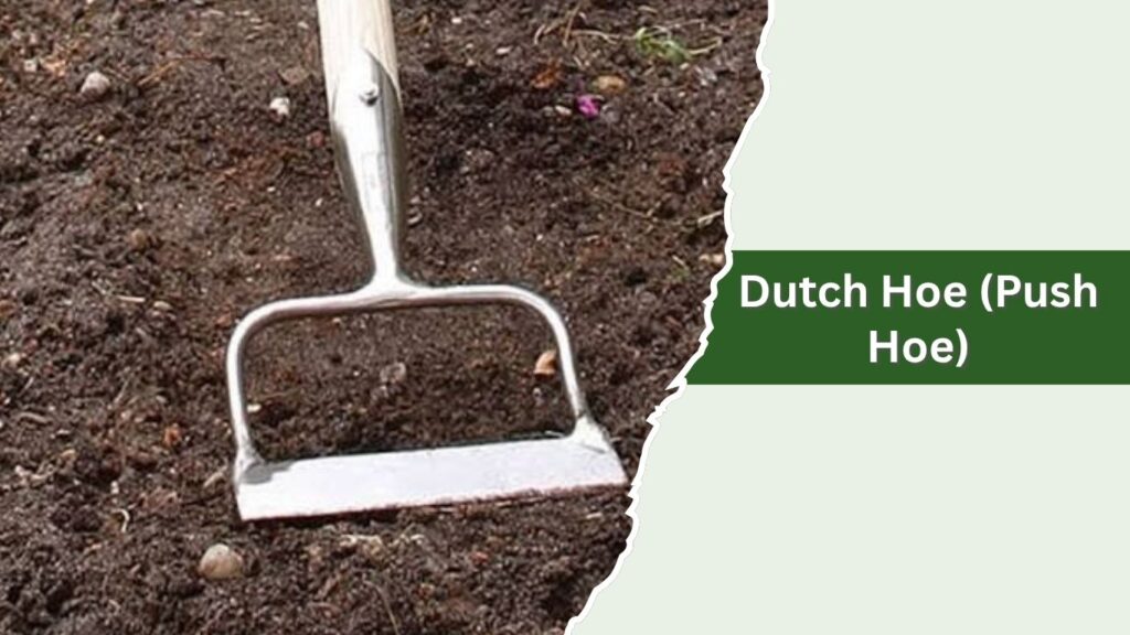 Dutch Hoe (Push Hoe)