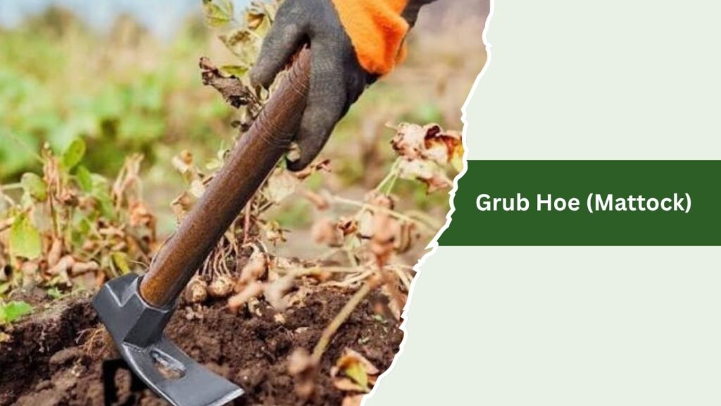 Grub Hoe (Mattock)