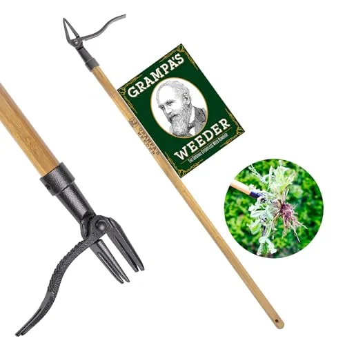 best garden tools for weed removal