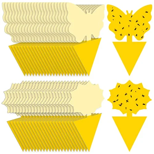 best sticky traps for gnats