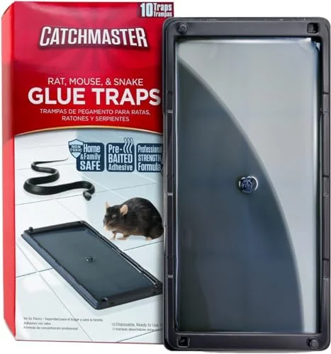 best sticky traps for rats