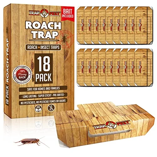 best sticky traps for roaches