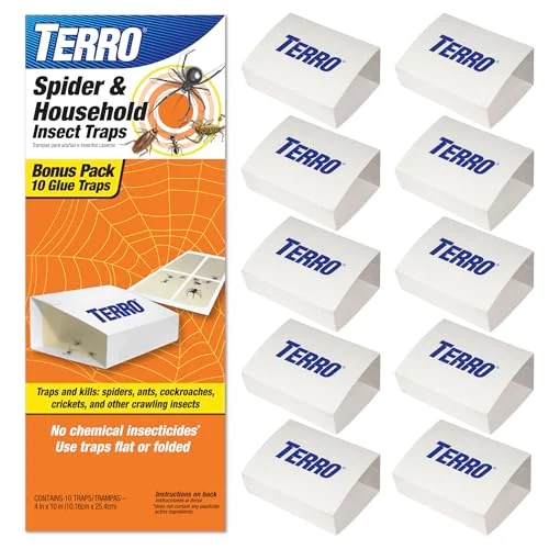 best sticky traps for spiders