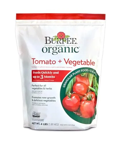 best tomato plant fertilizer