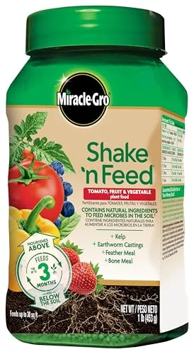 best tomato plant food for containers