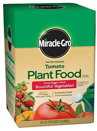 best tomato plant food