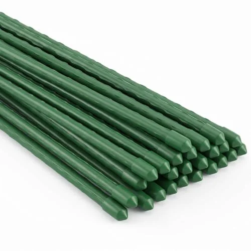 best tomato plant stakes